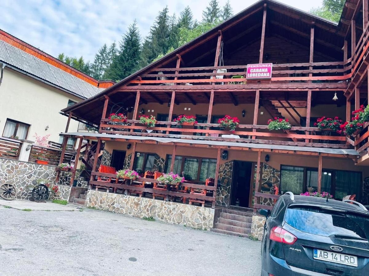 Cabana Loredana Vadu Motilor Экстерьер фото